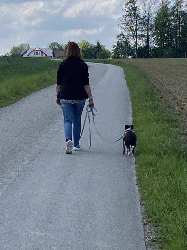 Chilli Leinentraining