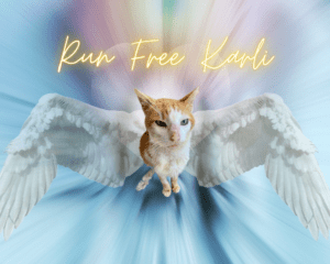 Karli_R.I.P._12072023