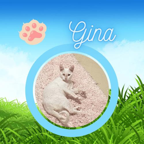Gina