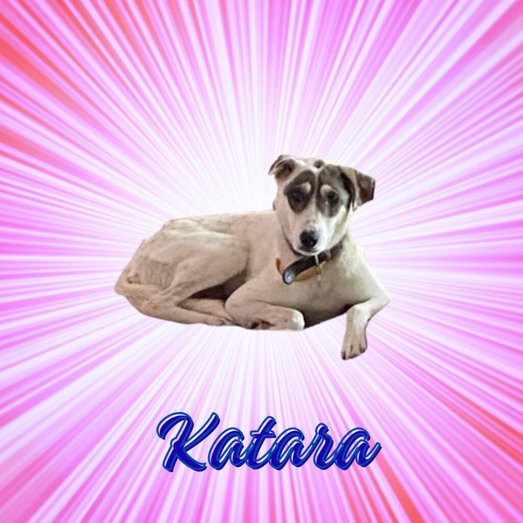Katara_Vorschau