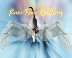 Billiboy_R.I.P. 03092024