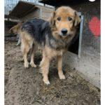 Mufasa_24042025