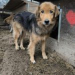 Mufasa_24042025