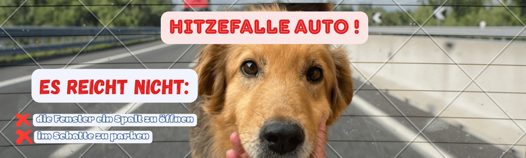 Hitzefalle Auto
