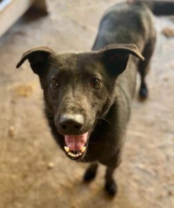 SCARPIA #PDR_Vorschau