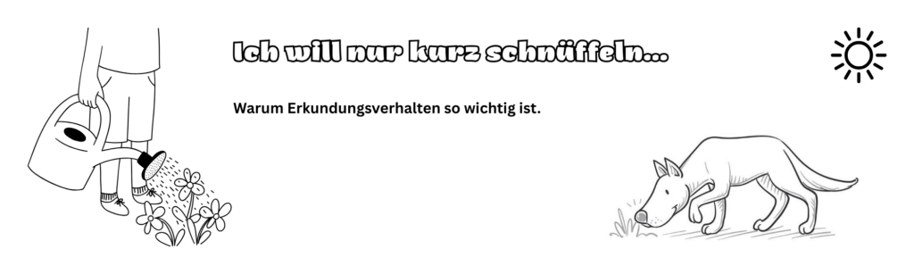ErkundungsverhaltenHund