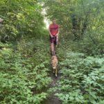 Foxi_200725