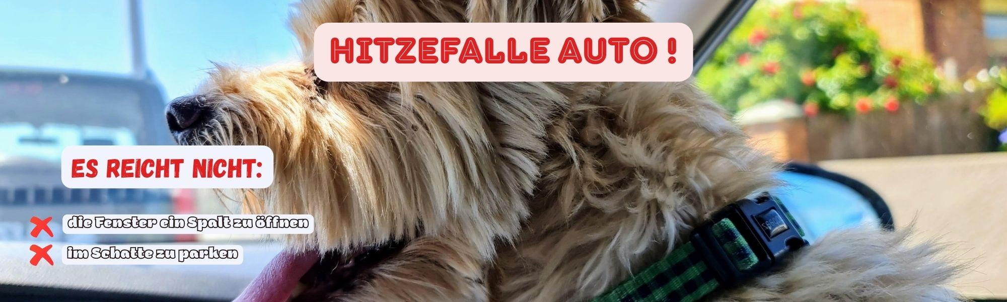 Hitzefalle Auto