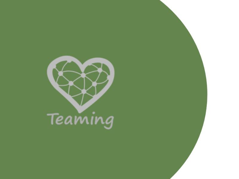 Teaming_Sektion ohne1