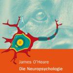 neuropsychologie_hundes