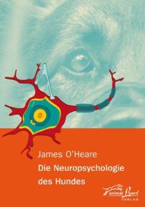 neuropsychologie_hundes