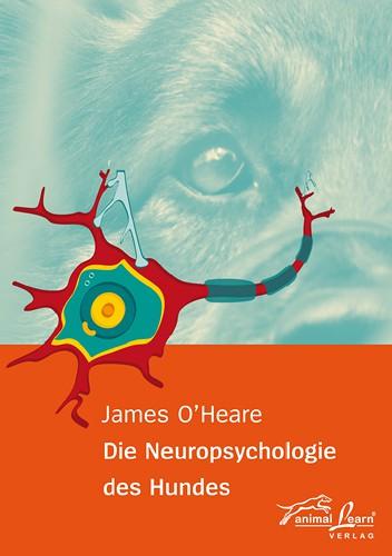 neuropsychologie_hundes