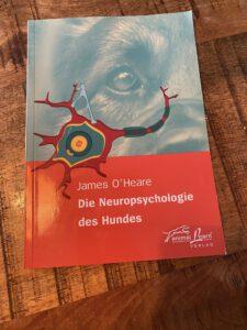 neuropsychologie_d_hundesvorderseite