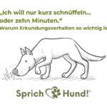 schnüffeln