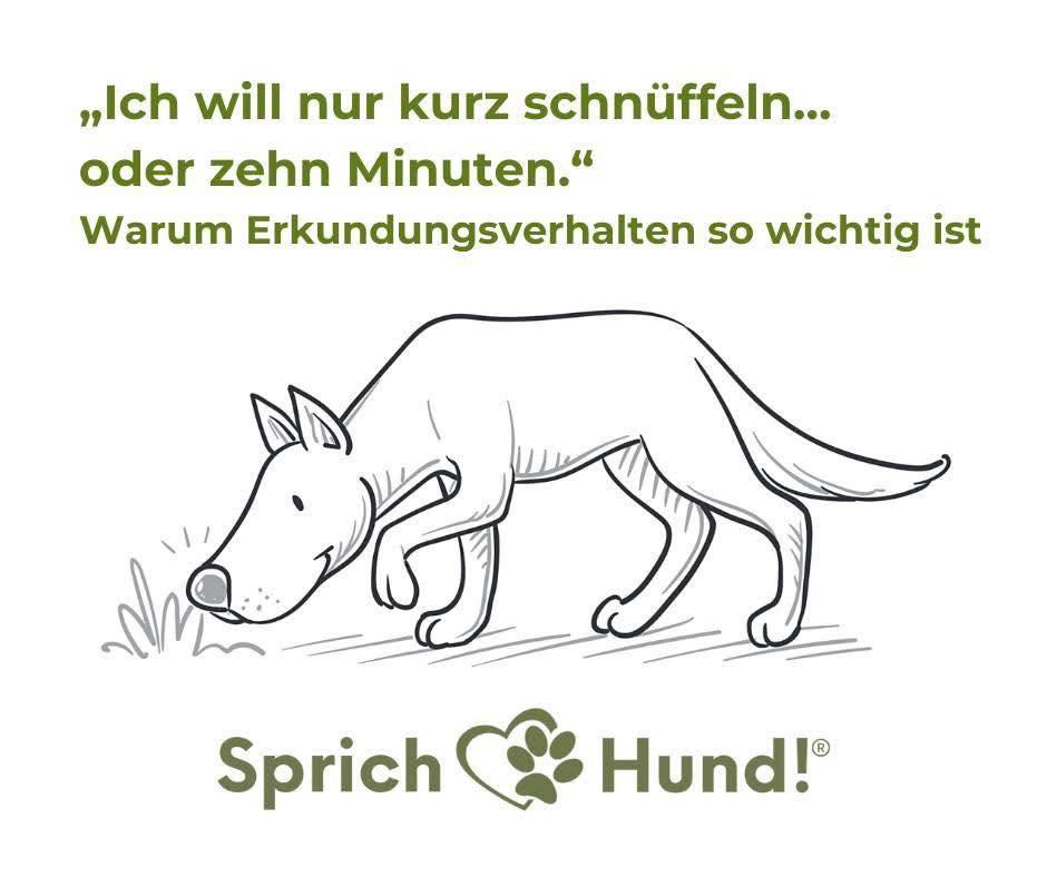 schnüffeln