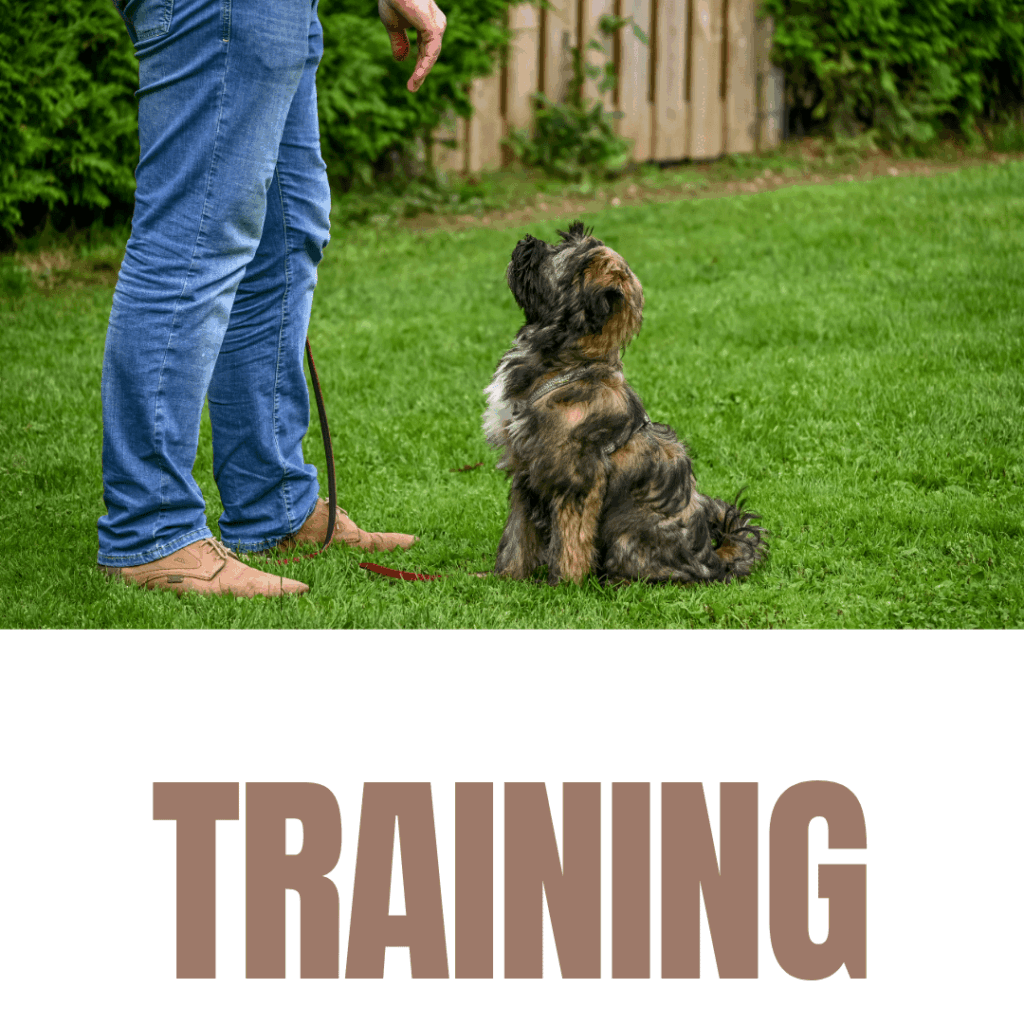 training-min