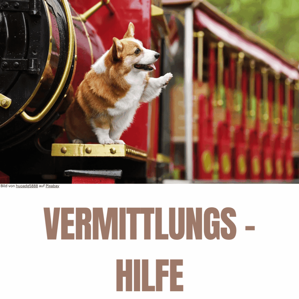 vermittlungshilfe-min