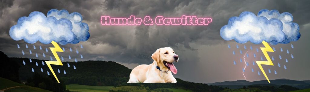 Hunde und Gewitter