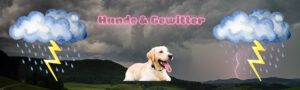 Hunde und Gewitter