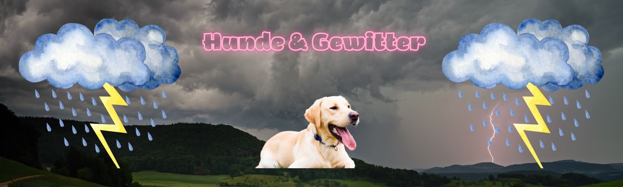 Hunde und Gewitter
