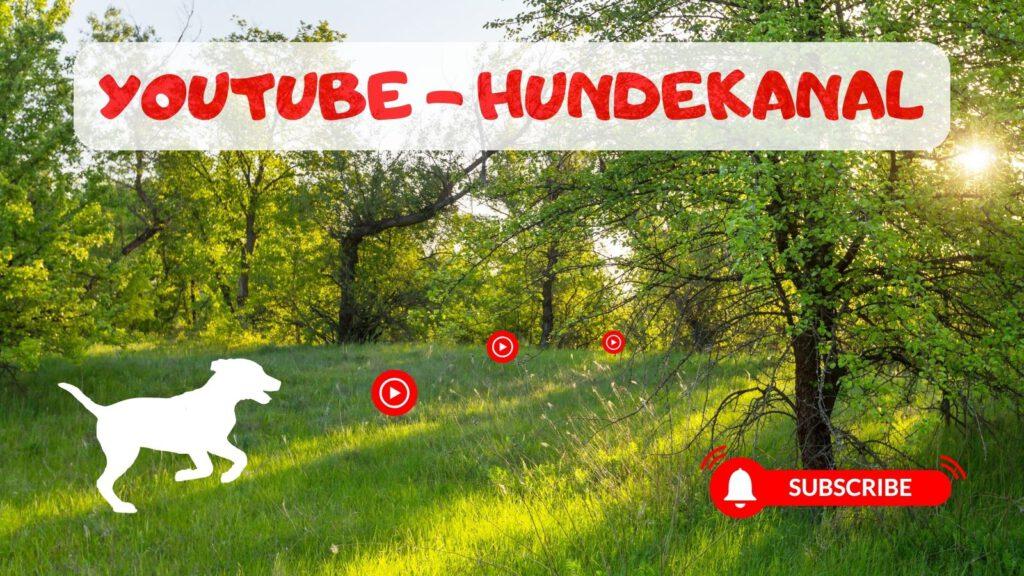 HundeYouTube