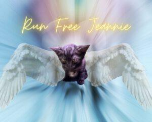 Jeannie_R.I.P_27.08.2025