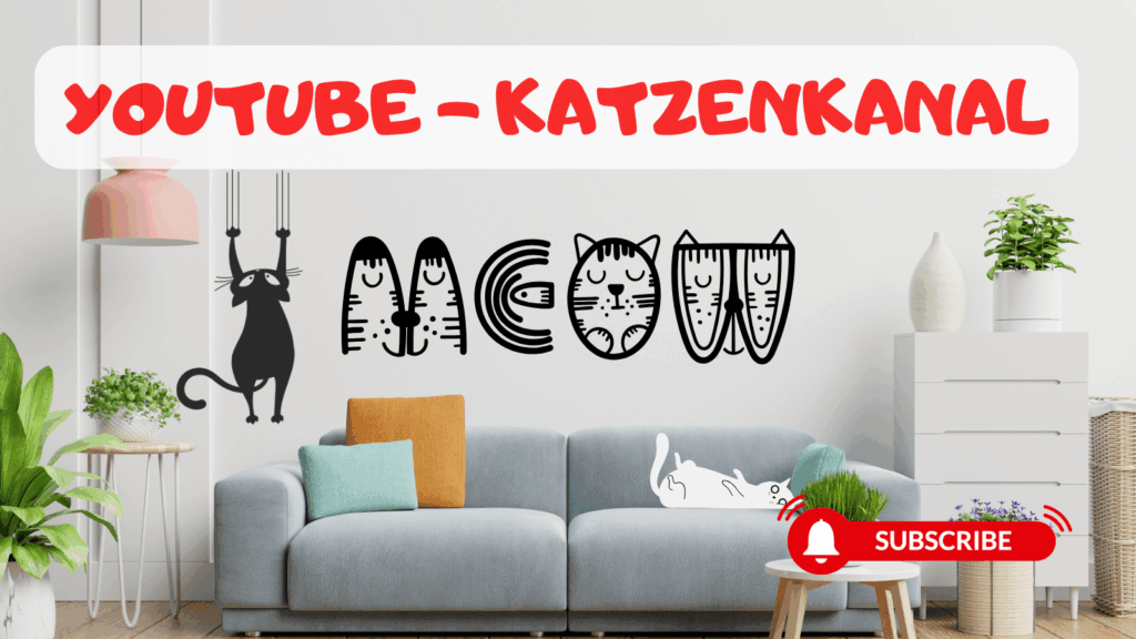 YouTube Katzenkanal