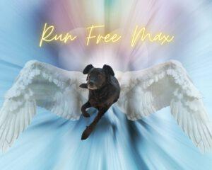 Max_R.I.P_25.08.2025