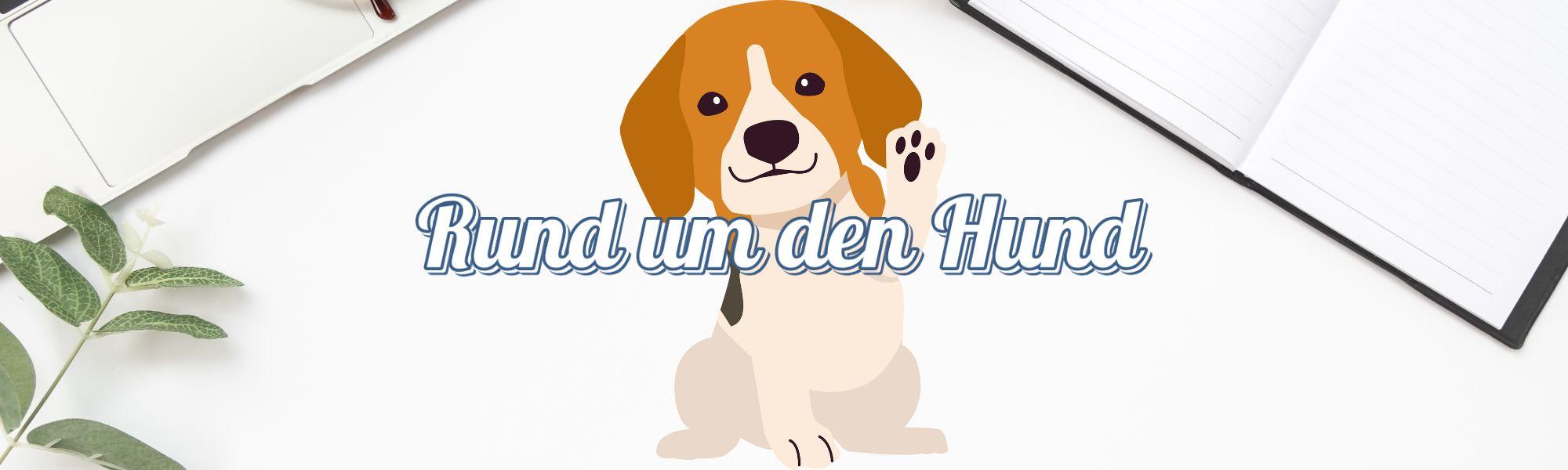 RundumdenHund