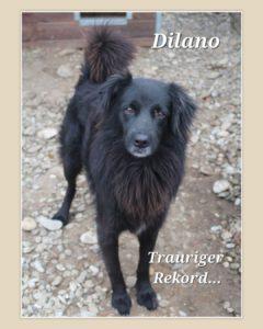 DILANO