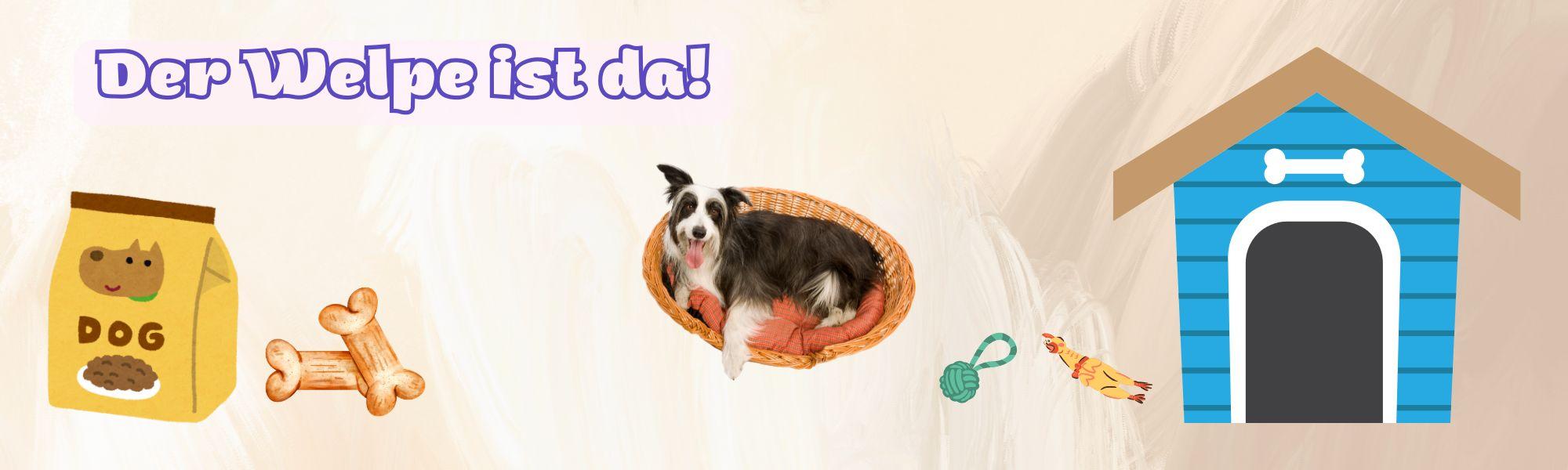 der Welpe ist da