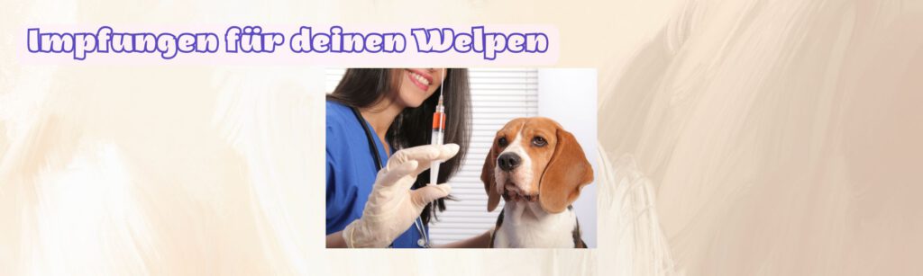 impfungen für den Welpen