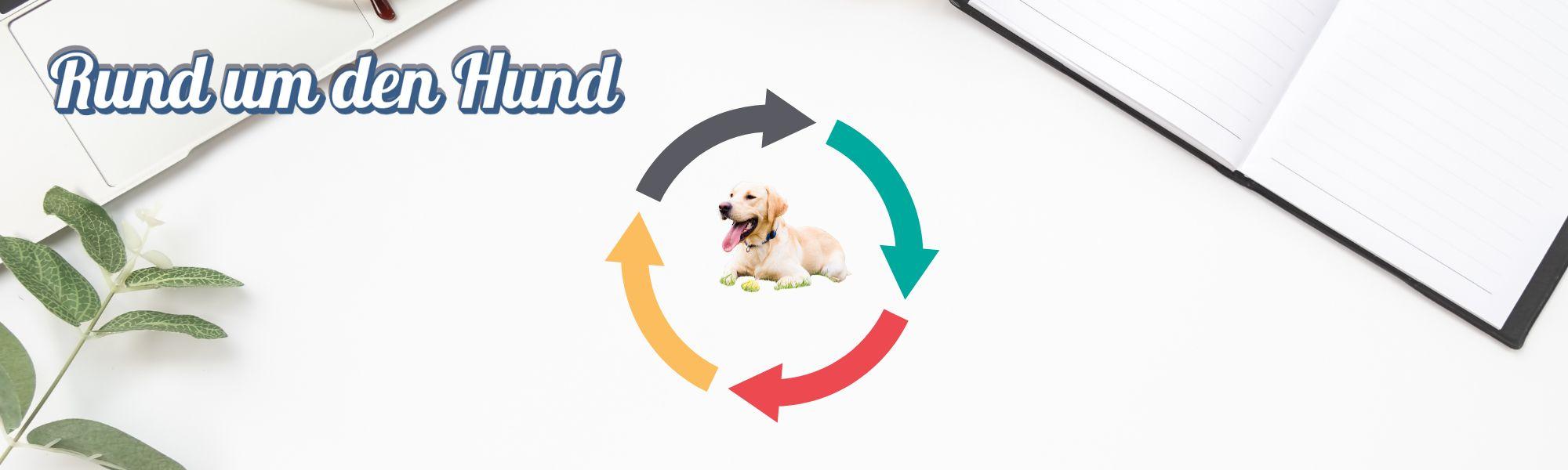 rundumdenhund-min