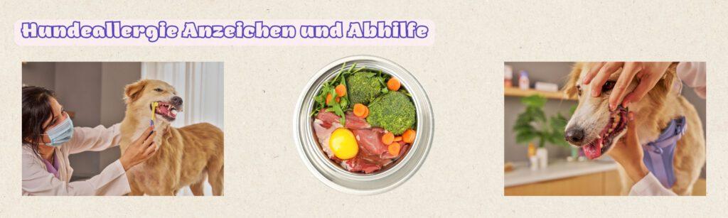 AllergienbeimHund