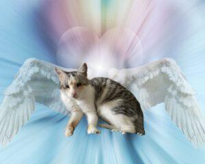 Cubby_R.I.P._29102025