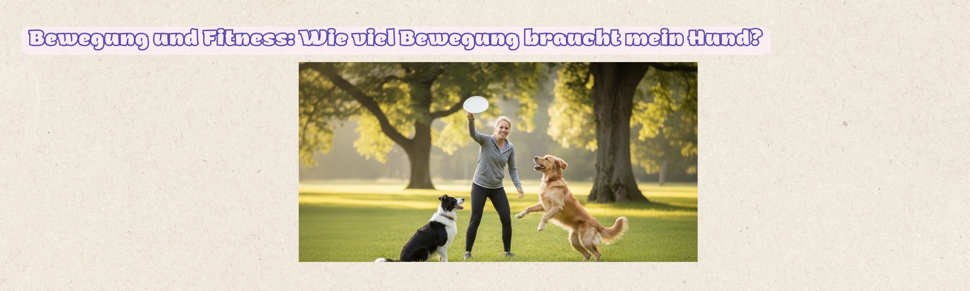FitnessHund