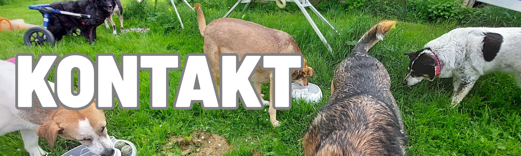 Kontakt