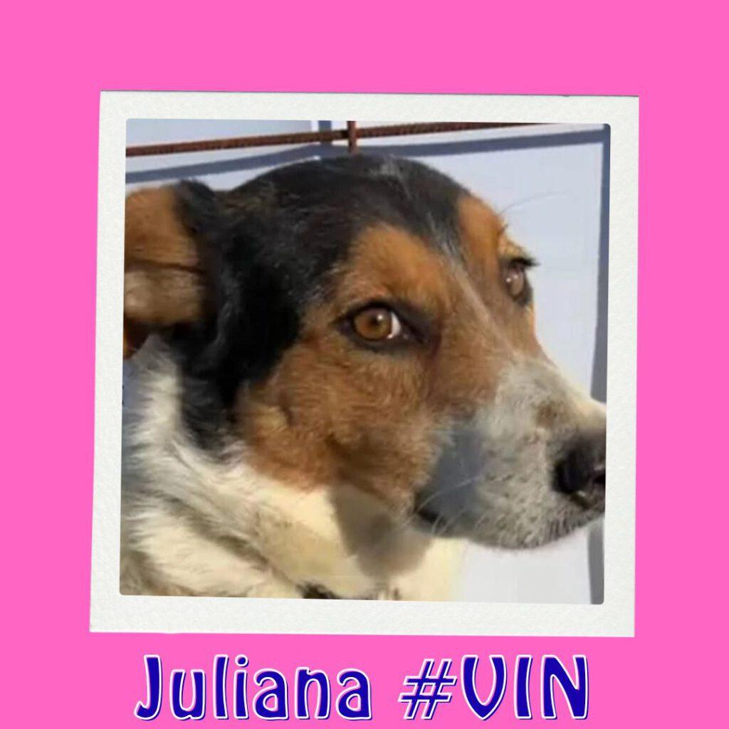 Juliana #VIN