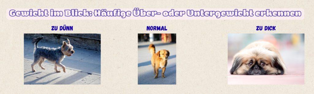 ÜberUntergewicht