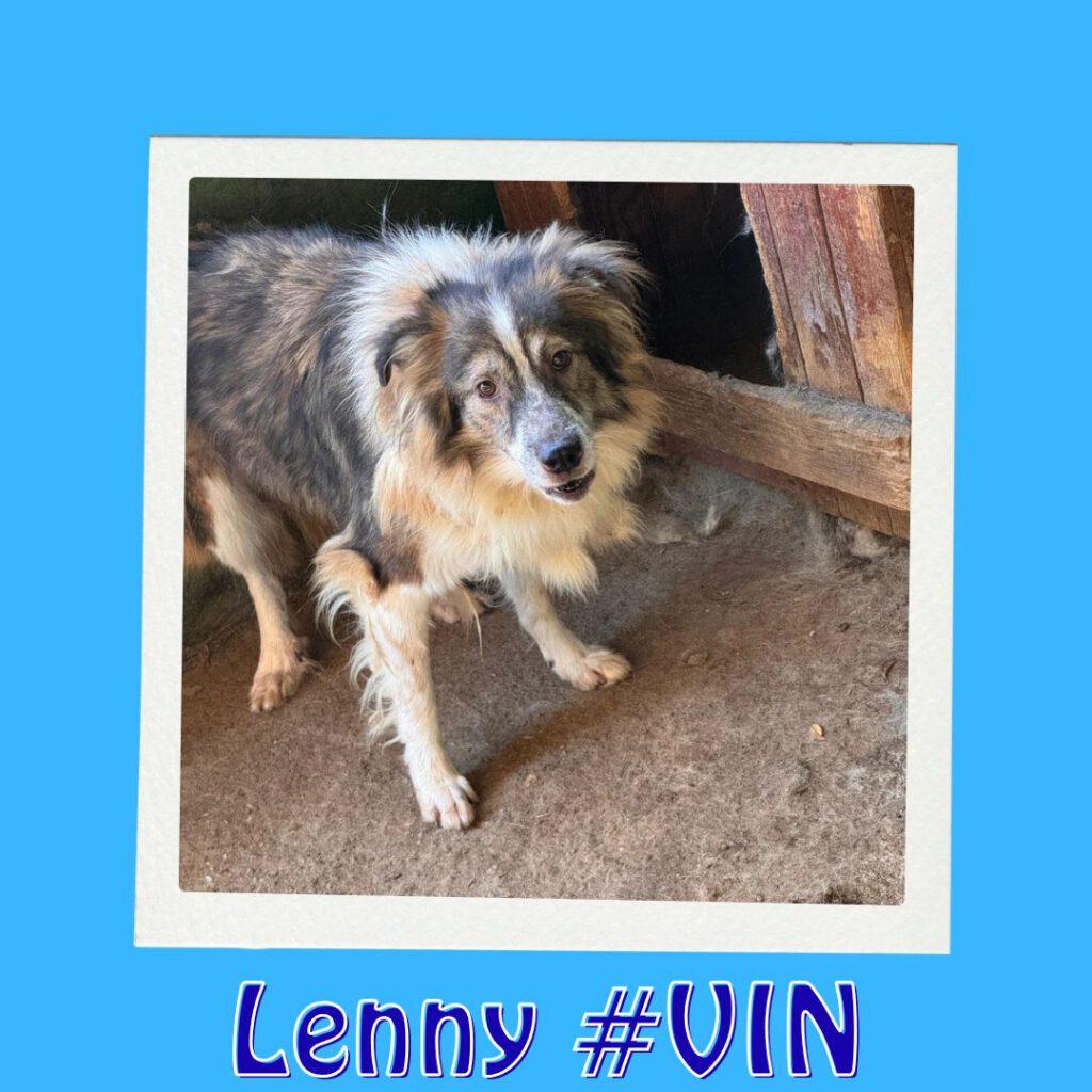 Lenny #VIN_Vorschau