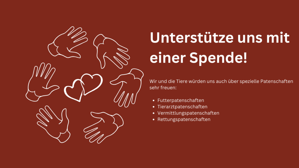 Unterstütze uns mit einer Spende! (4)