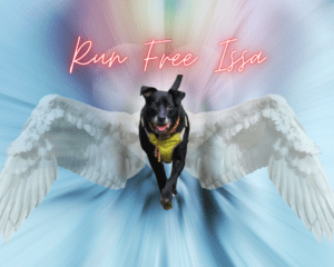 Issa_R.I.P._13.07.2026