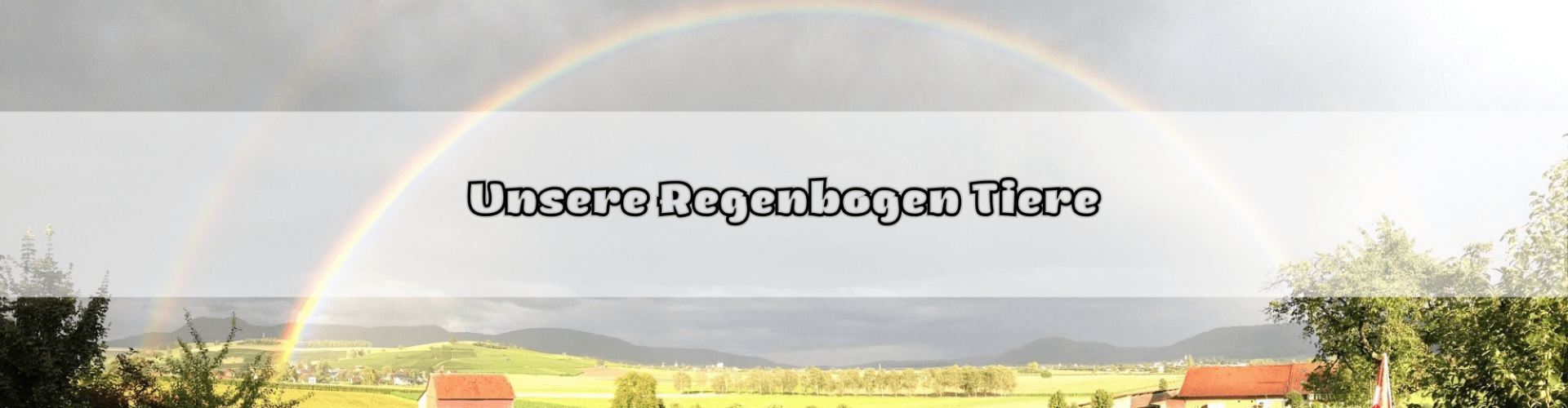 RegenbogenTiere